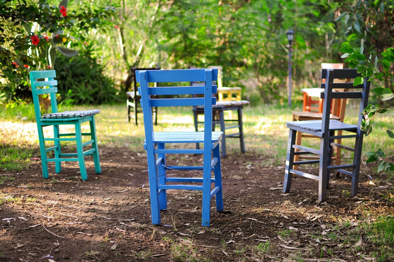 Mismatched wooden and painted chairs set out in a loose arrangement on grass under trees, all empty.