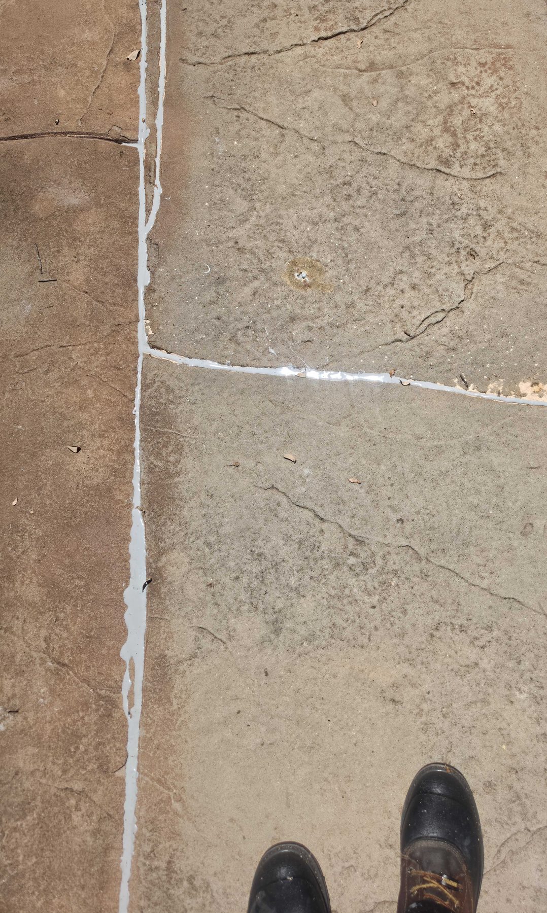 A concrete driveway half cleaned, with a sharp line between the gray weathered side and the pale washed side.