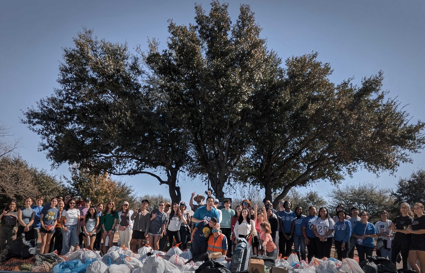 A long row of filled rubbish bags laid out on the ground beneath a wide oak, with a large group of volunteers standing behind them in the sun.